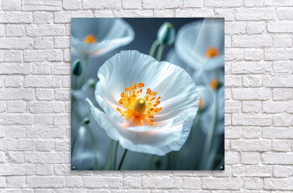 Poppies Redux 8
