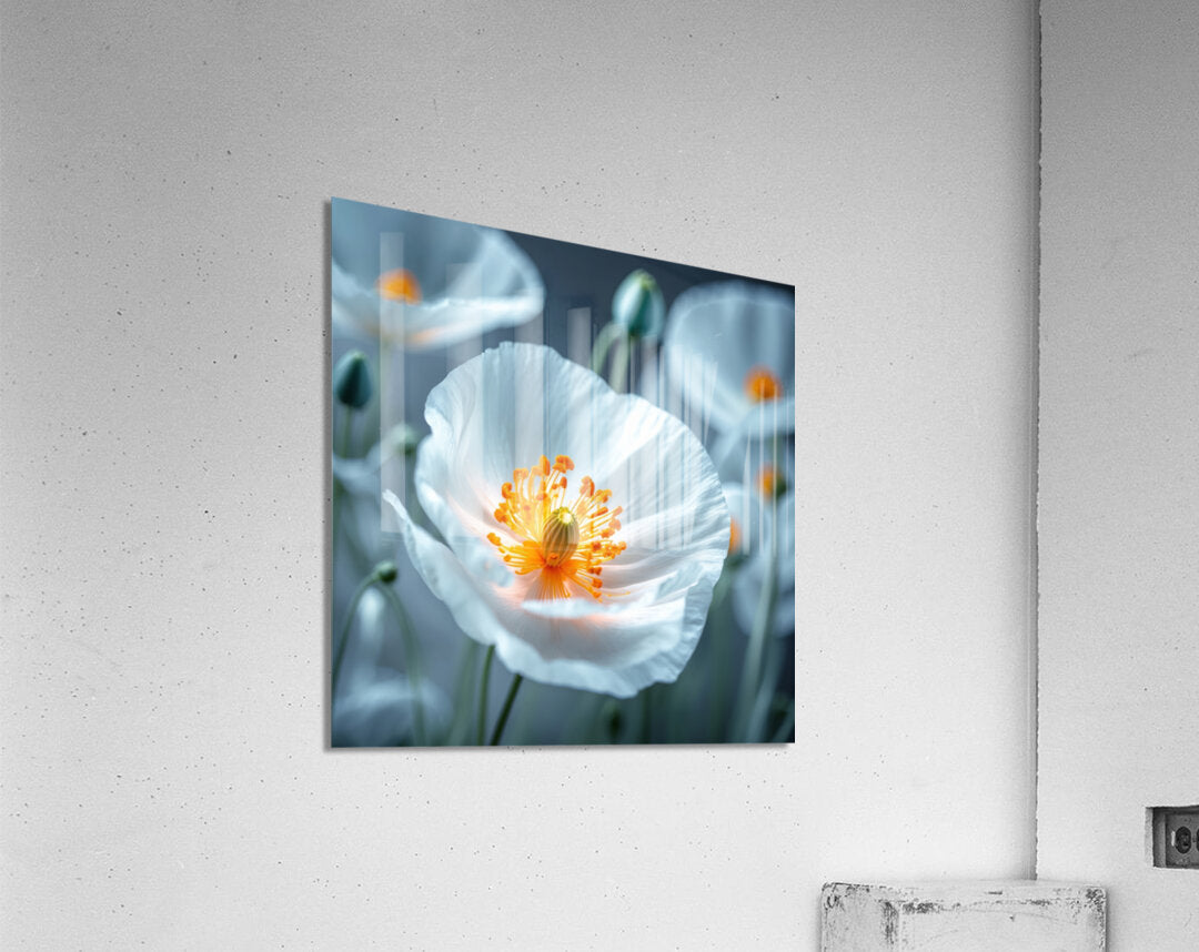 Poppies Redux 8