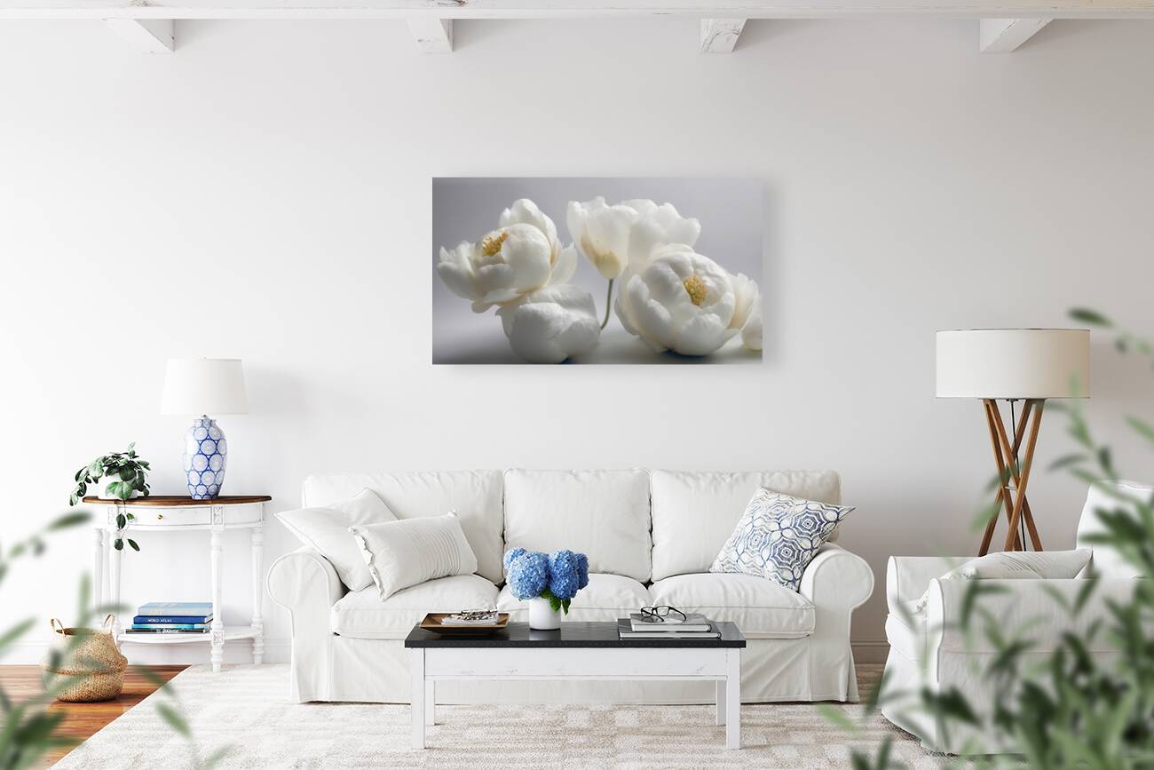 White Flora Fauna And Fabric Dream Of Matisse 4