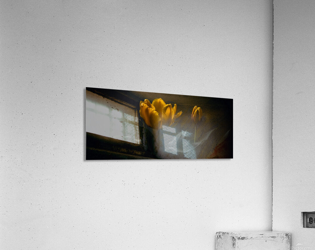 2368187 :: Acrylic Print