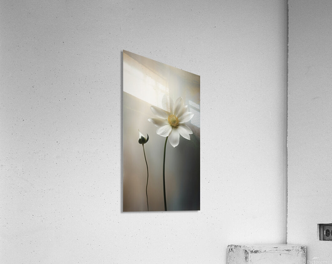 2370561 :: Acrylic Print