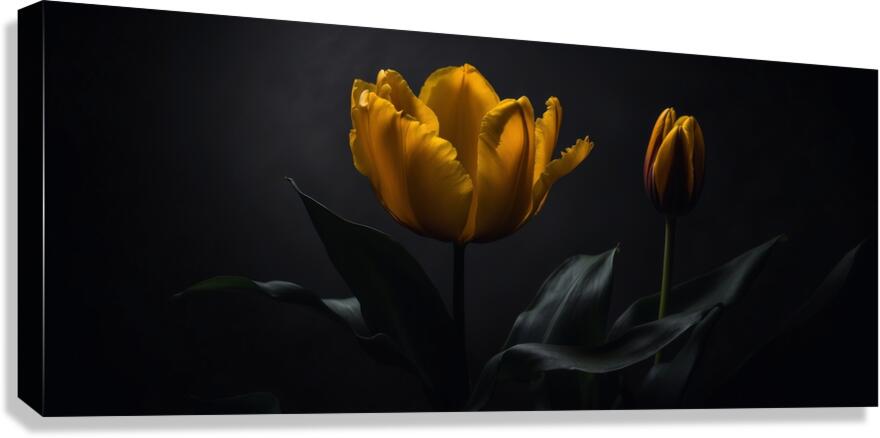 2368187 :: Giclée Stretched Canvas Print