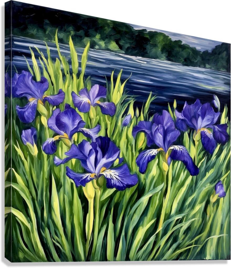 2441705 :: Giclée Stretched Canvas Print