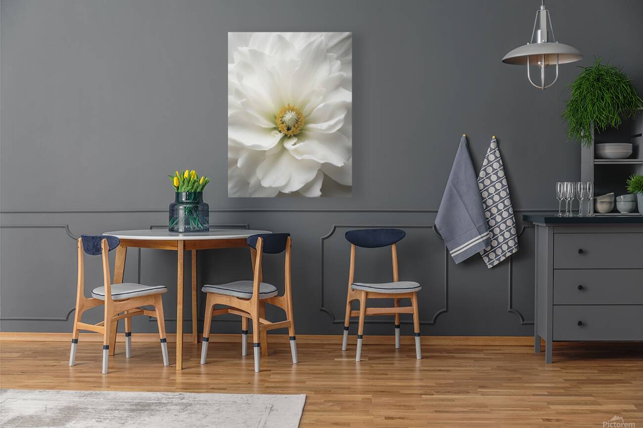 2368259 :: Giclée Stretched Canvas Print